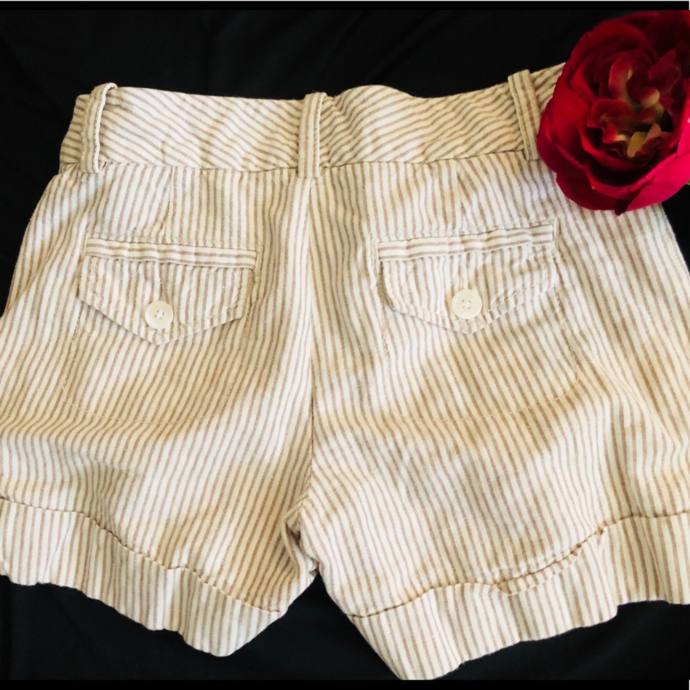Express Shorts - Picture 3 of 3
